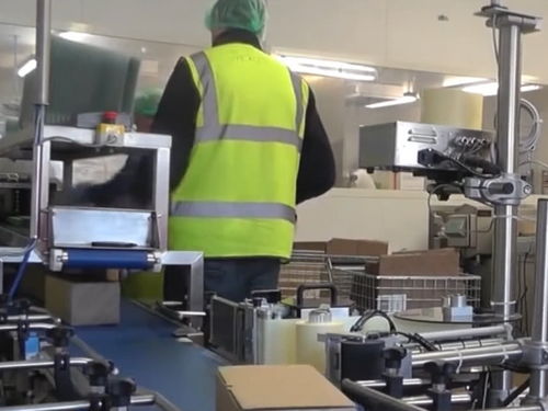 探秘奶酪工厂 从牛奶到美味的奇幻之旅